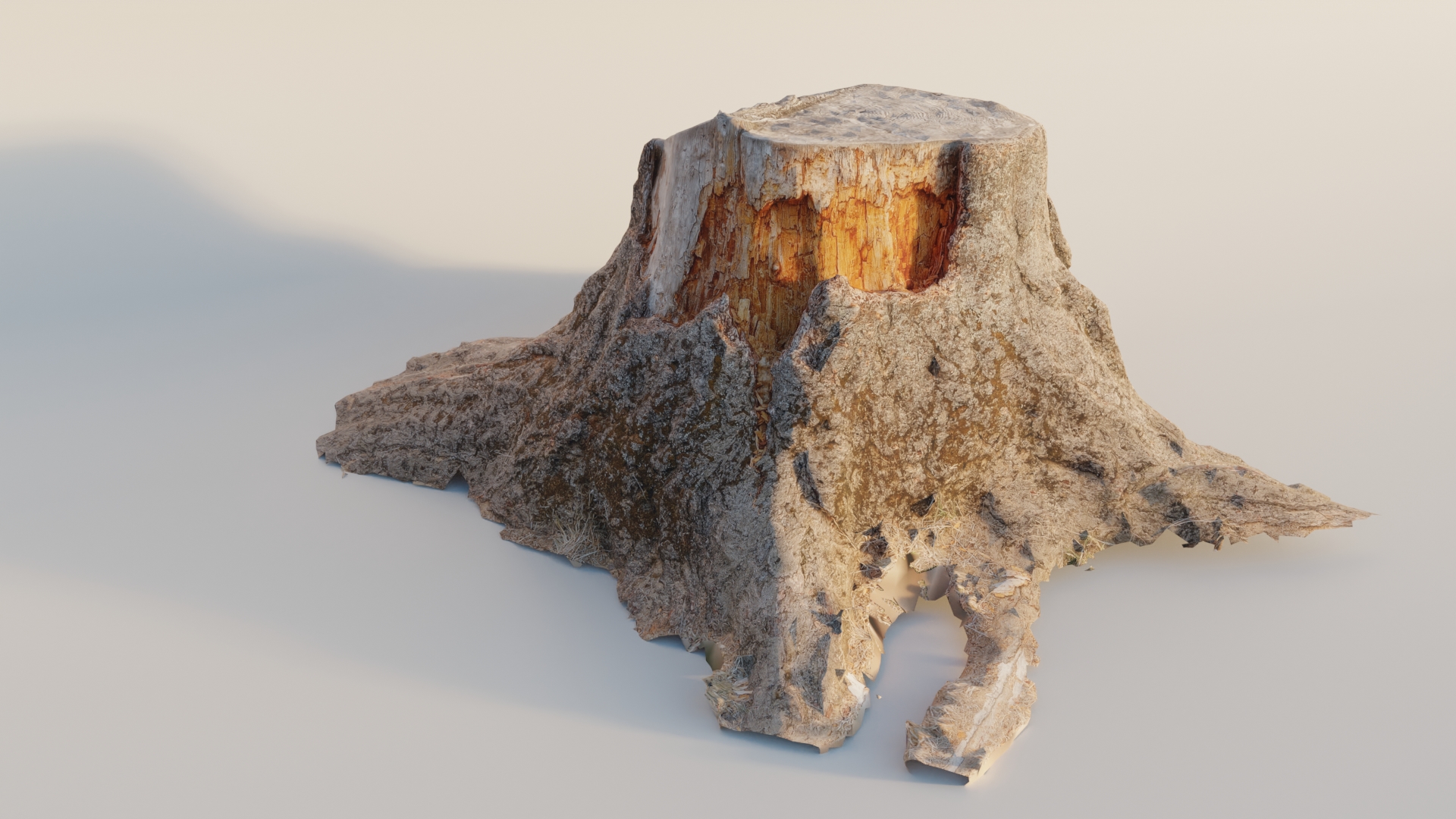 Large Tree Trunk preview image 1